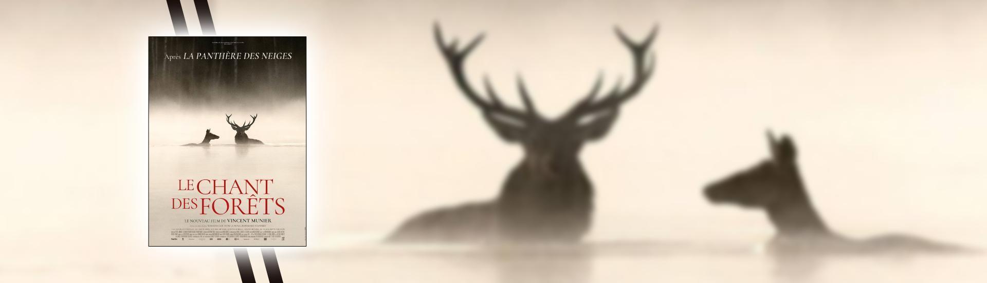 Le Chant des forêts - slider
