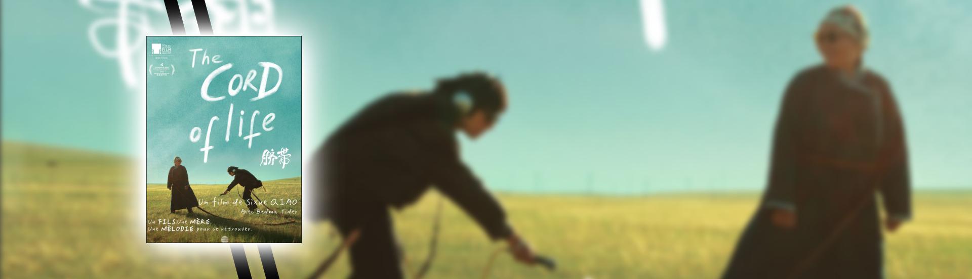 The Cord Of Life - Slider