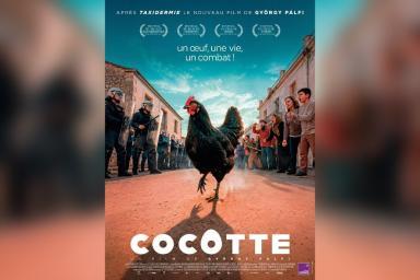 Cocotte