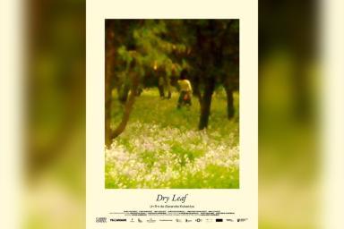 Dry Leaf