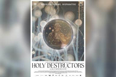 Holy Destructors