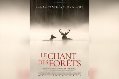 Le Chant des Forêts