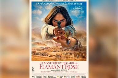 LE MYSTÉRIEUX REGARD DU FLAMANT ROSE