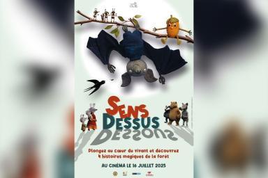 Sens dessus dessous
