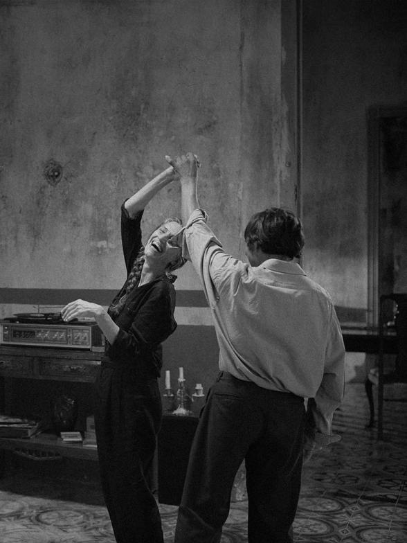 Cosmos - Festival - Agrandir l'image, fenêtre modale