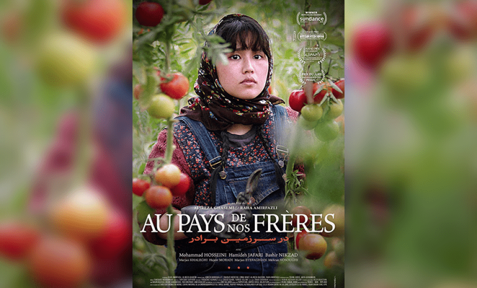 aupaysdenosfreres - Agrandir l'image, fenêtre modale