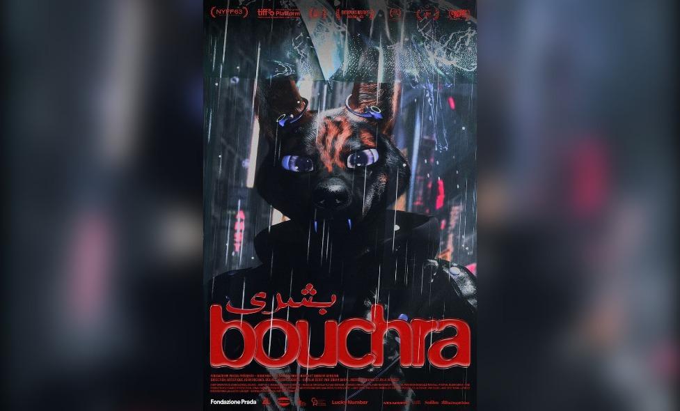 Bouchra - Agrandir l'image, fenêtre modale