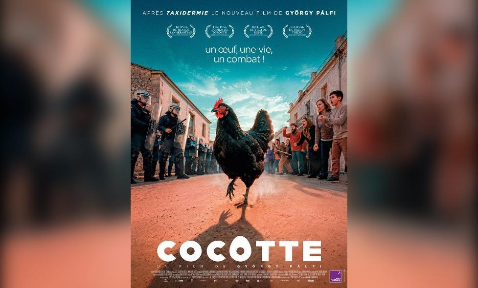 Cocotte - Agrandir l'image, fenêtre modale