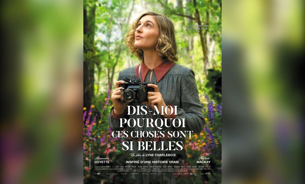 Affiche du film "Dis-moi pourquoi ces choses sont si belles" - Agrandir l'image, fenêtre modale