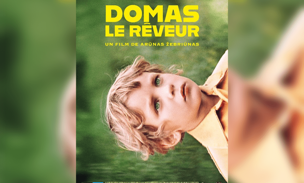 domas - Agrandir l'image, fenêtre modale