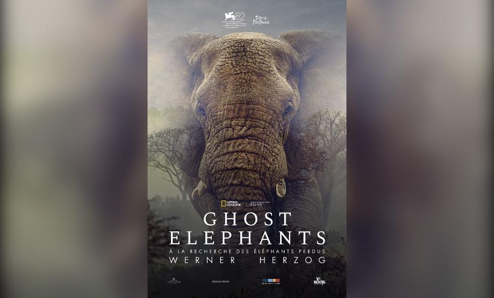 Ghost Elephants - Agrandir l'image, fenêtre modale