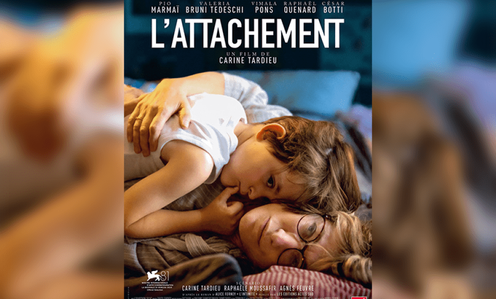 lattachement - Agrandir l'image, fenêtre modale