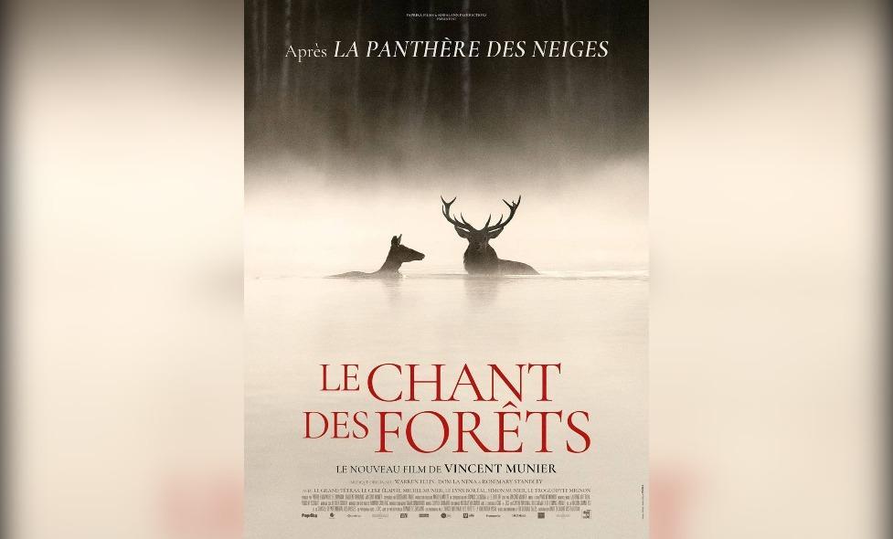 Le chant des forêts - Agrandir l'image, fenêtre modale