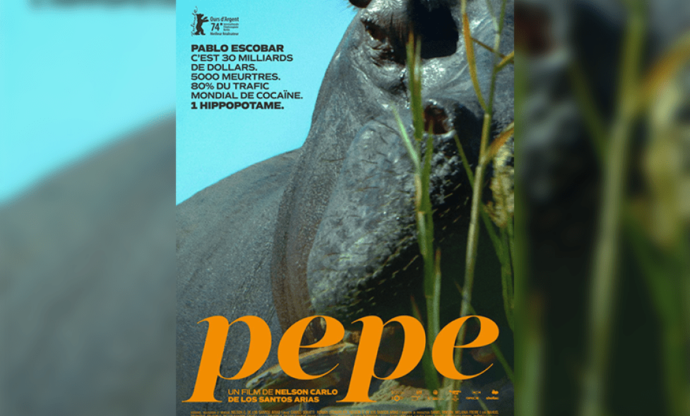 pepe - Agrandir l'image, fenêtre modale