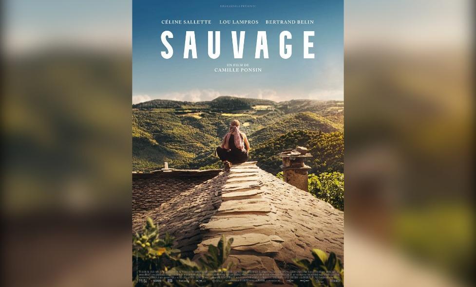 Sauvage - Agrandir l'image, fenêtre modale