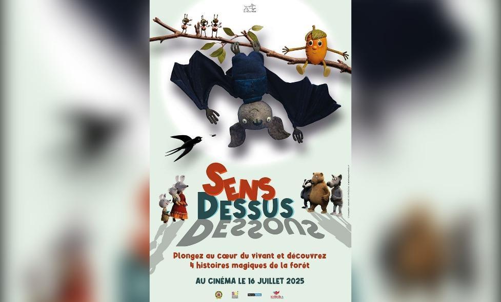 Sens dessus dessous - Agrandir l'image, fenêtre modale