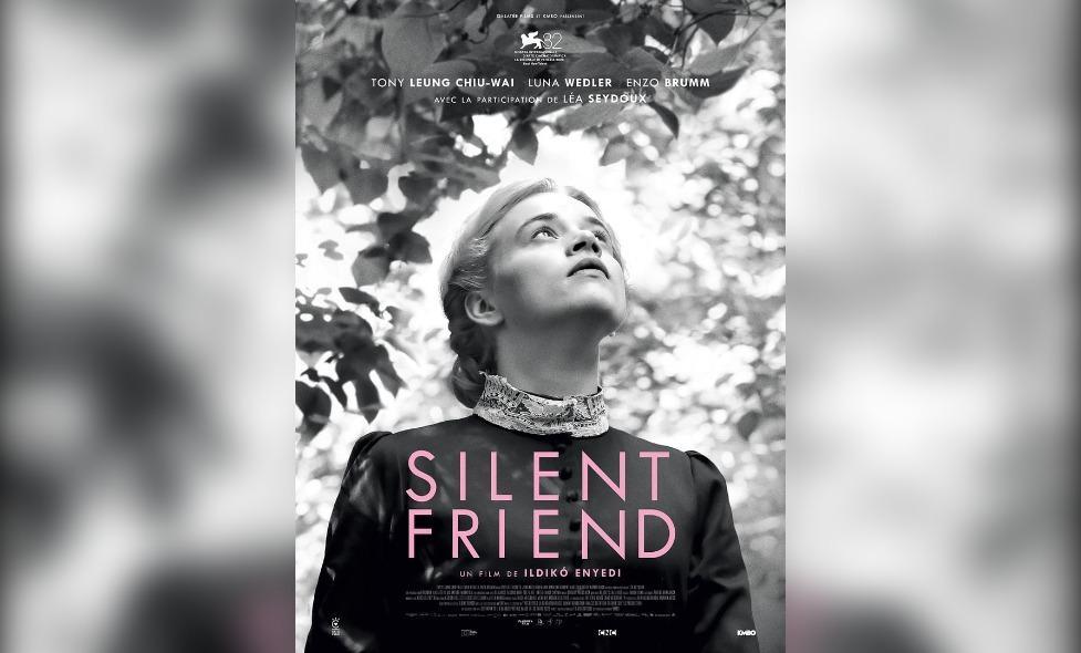 Silent Friend - Agrandir l'image, fenêtre modale