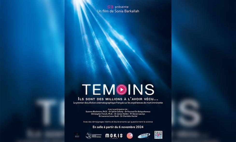 affiche_témoins - Agrandir l'image, fenêtre modale