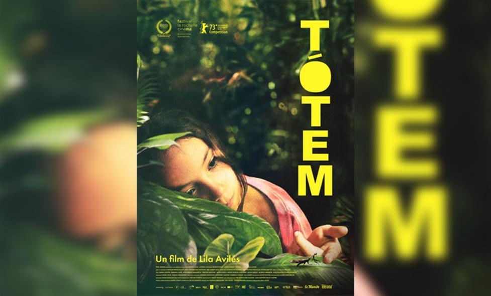 Totem - Agrandir l'image, fenêtre modale