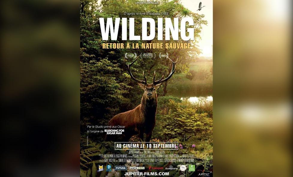 Wilding - Agrandir l'image, fenêtre modale